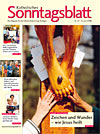 Titelcover der archivierten Ausgabe 24/2008 - klicken Sie für eine größere Ansicht Titelcover der archivierten Ausgabe 24/2008 - klicken Sie für eine größere Ansicht