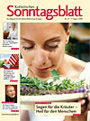 Titelcover der archivierten Ausgabe 33/2008 - klicken Sie für eine größere Ansicht Titelcover der archivierten Ausgabe 33/2008 - klicken Sie für eine größere Ansicht