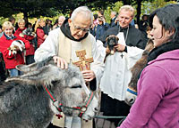Christus ähnlich werden in Armut, Liebe und Leid Christus ähnlich werden in Armut, Liebe und Leid