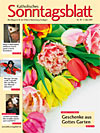 Titelcover der archivierten Ausgabe 18/2011 - klicken Sie für eine größere Ansicht Titelcover der archivierten Ausgabe 18/2011 - klicken Sie für eine größere Ansicht