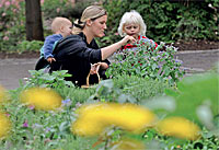 Suche nach Sinn und Natur Suche nach Sinn und Natur