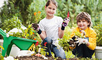 Kinder brauchen immer wieder Erlebnisse in der Natur Kinder brauchen immer wieder Erlebnisse in der Natur