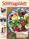 Titelcover der archivierten Ausgabe 42/2015 - klicken Sie für eine größere Ansicht Titelcover der archivierten Ausgabe 42/2015 - klicken Sie für eine größere Ansicht