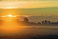 Ausschau halten nach Gott