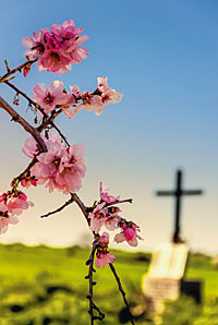 Zum Aufatmen: Christliches am Wegesrand Zum Aufatmen: Christliches am Wegesrand