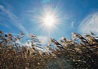 »Der Wind weht, wo er will« »Der Wind weht, wo er will«