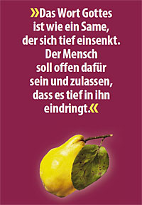 Wie der Glaube Frucht bringt