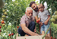 Verfolgt Gott die Sünden bis zur vierten Generation? Verfolgt Gott die Sünden bis zur vierten Generation?