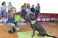 Hunde erleichtern das Lernen und verbessern die Stimmung Hunde erleichtern das Lernen und verbessern die Stimmung