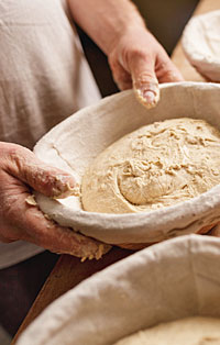 Sind wir noch Sauerteig? Sind wir noch Sauerteig?