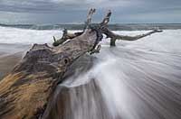 »Der Wind weht, wo er will« »Der Wind weht, wo er will«