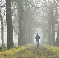 Was wollen uns unsere Depressionen sagen? Was wollen uns unsere Depressionen sagen?