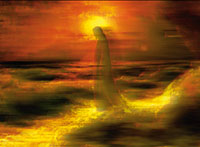 Was trägt mehr – der Blick auf Jesus oder auf die eigenen Füße? Was trägt mehr – der Blick auf Jesus oder auf die eigenen Füße?