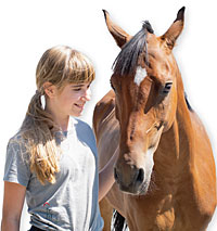 Warum vor allem Mädchen auf Pferde und Ponys abfahren Warum vor allem Mädchen auf Pferde und Ponys abfahren