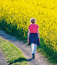 Spazierengehen – in Freiheit unterwegs Spazierengehen – in Freiheit unterwegs