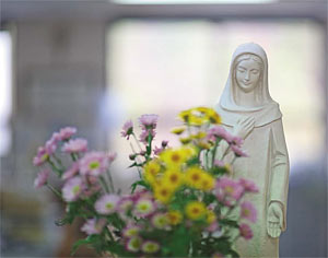 »Die schönste Blume Gottes« »Die schönste Blume Gottes«