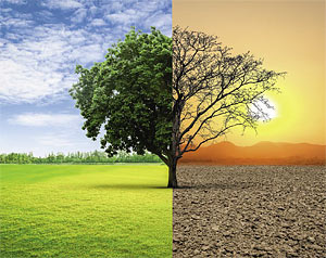 Verwandelt der Glaube die Welt? Verwandelt der Glaube die Welt?