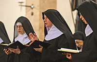 Eingebettet sein in den Rhythmus von Gottes Schöpfung Eingebettet sein in den Rhythmus von Gottes Schöpfung