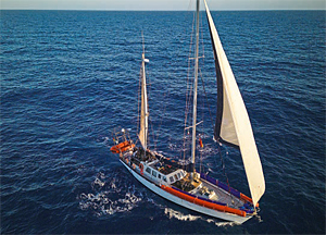 Mit Hoffnung und Herzblut auf hoher See Mit Hoffnung und Herzblut auf hoher See