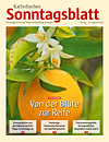 Titelcover der archivierten Ausgabe 34/2024 - klicken Sie für eine größere Ansicht Titelcover der archivierten Ausgabe 34/2024 - klicken Sie für eine größere Ansicht
