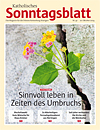 Titelcover der archivierten Ausgabe 42/2024 - klicken Sie für eine größere Ansicht Titelcover der archivierten Ausgabe 42/2024 - klicken Sie für eine größere Ansicht