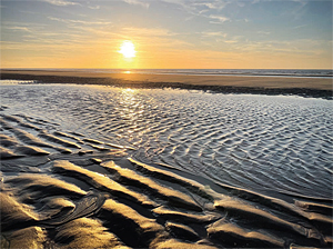 Und Gott sah, es war sehr divers