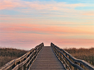 Was nenne ich mein Lebensziel?